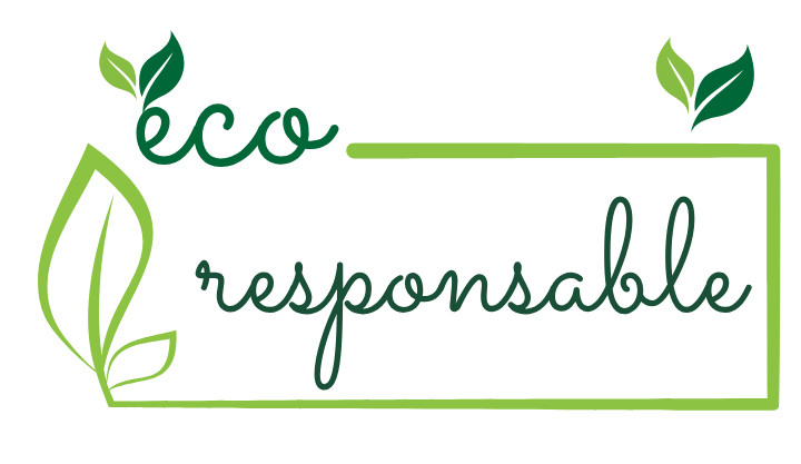 Infographie verte qui met en avant le mot "ecoresponsable" - Source : Canva